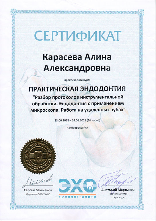 Сертификат 6 получил Карасева Алина